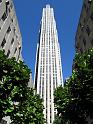 NY (48)